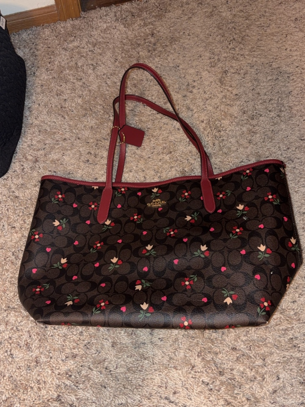 Coach City Tote with Spring Pattern